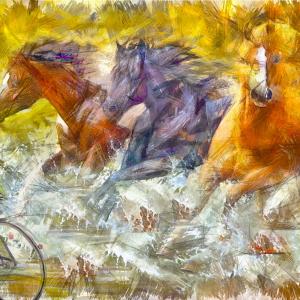 Horses gallop through water after a bicycle