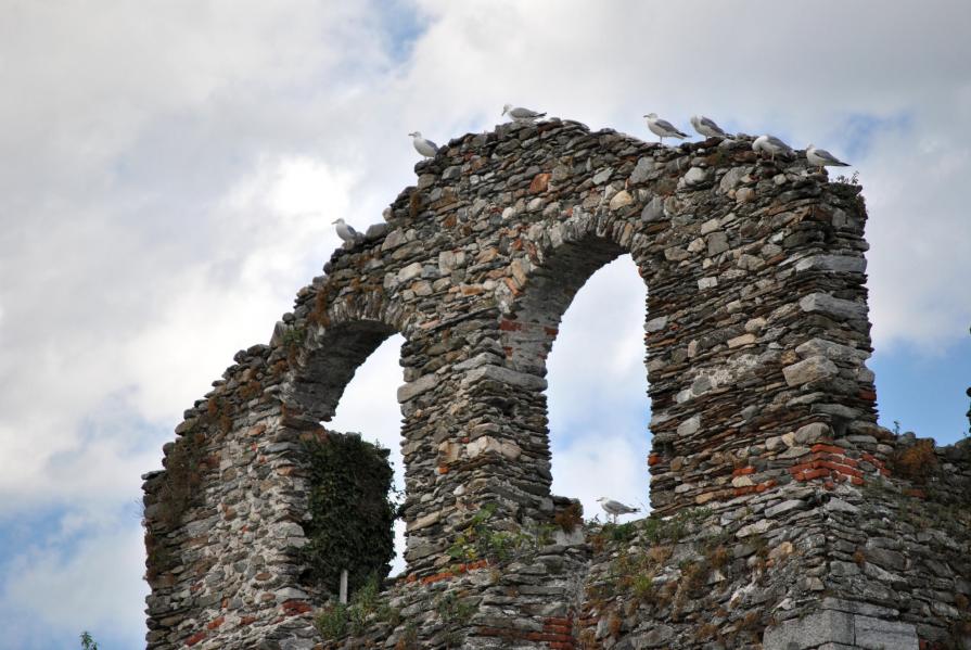 I veri proprietari dei Castelli di Cannero