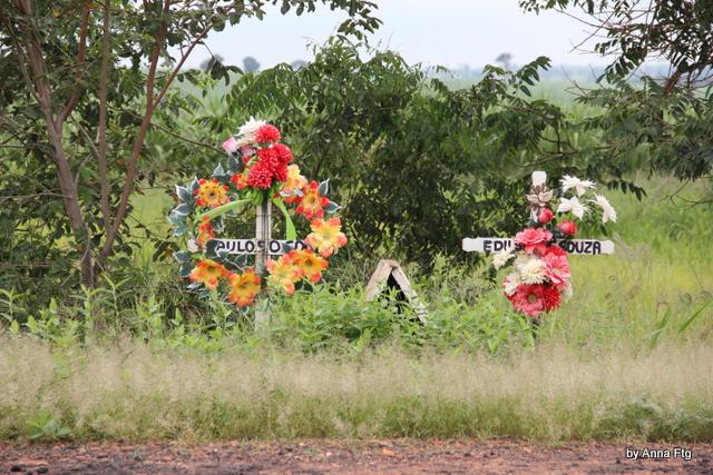 Roads of Minas Gerais - L'ultimo viaggio... 16