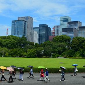 "Japanese experience N°1 - Tokyo"