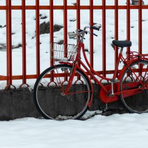 L'inverno non vincerà