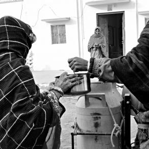  Milk morning delivery in Mandawa