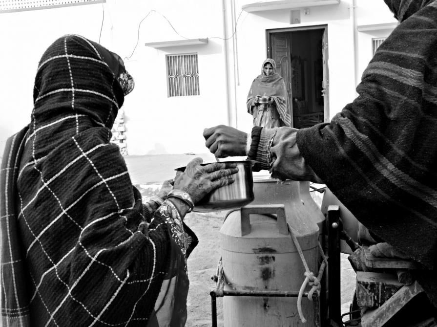  Milk morning delivery in Mandawa