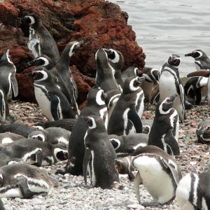 Argentina, Patagonia