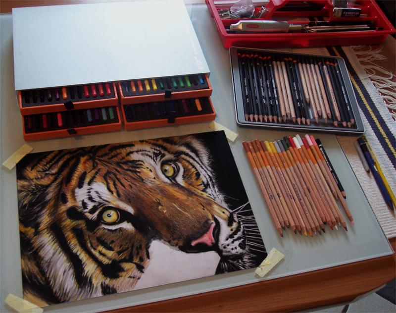 Tiger, color processing ....