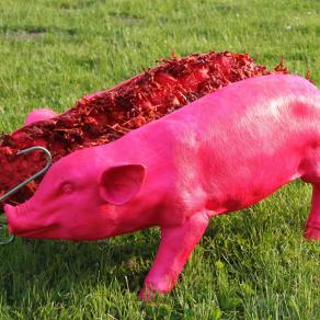 Pink Pork 