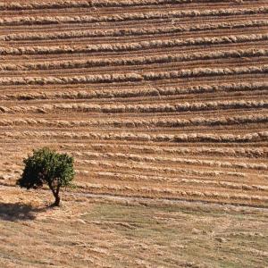 Italy. Basilicata. Potenza (1)