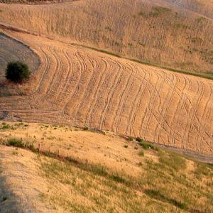 Italy. Calabria. Countryside