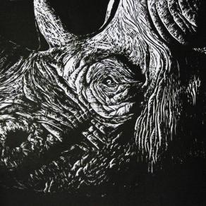 Black rhino