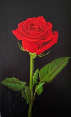 "RED ROSE III"