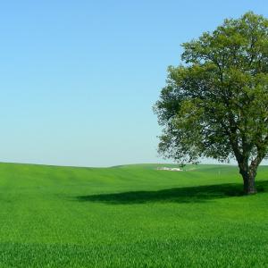 Italy. Puglia. Inland Bari