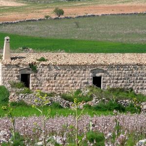 Italy. Puglia. Inland Bari