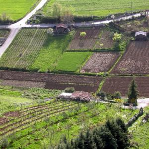 Italy. Basilicata. Potenza (1)