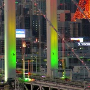 Japan. Tokyo lines / skyline