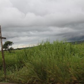 Roads of Minas Gerais - L'ultimo viaggio... 18