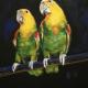 Moonlight serenade - romantic parrots