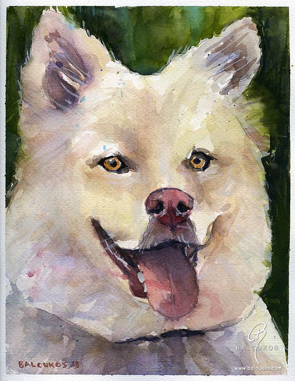 Dog portrait 2 from 100