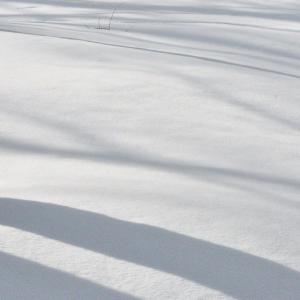 Italy. Val d'Aosta. White and his reflexes