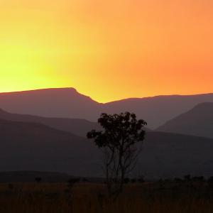 South Africa. Un/natural colors