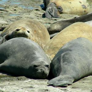 Argentina, Patagonia