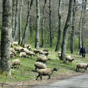 Italy. Basilicata & Campania. Dropouts and rediscovered