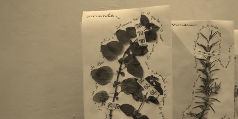 ON-BOARD HERBARIUM