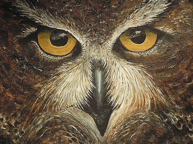 Owl eyes