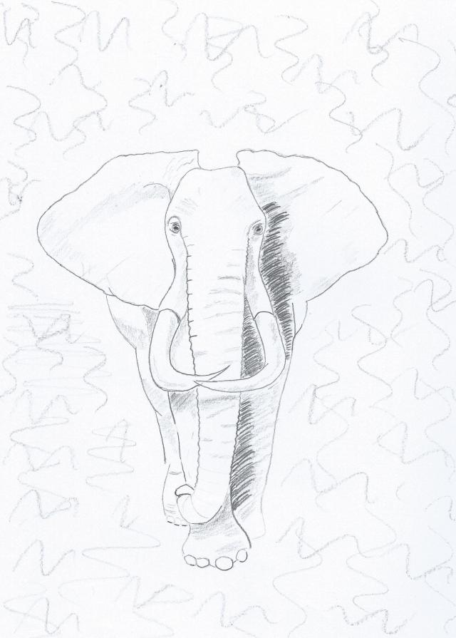 elefante