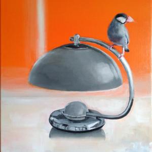 Java Sparrow perched on lamp shade