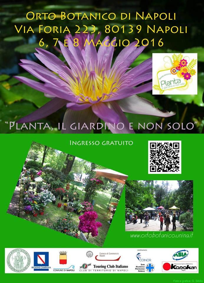 Planta il giardino e non solo