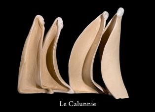 LE CALUNNIE