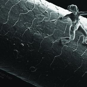 Trust (nano sculpture standing on a human hair)