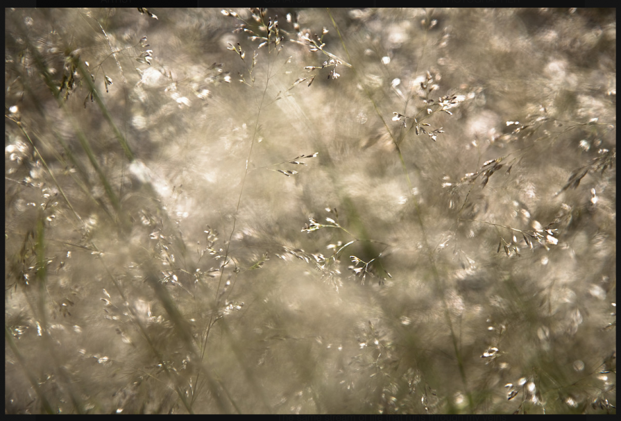 FLOW Prior Park 325 (Translucent)