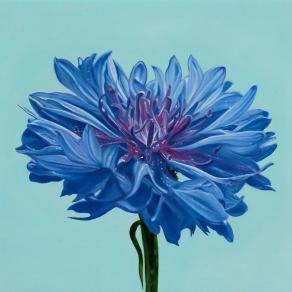 "BLUE FLOWER"