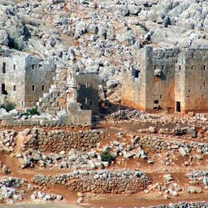 Syria. Men and stories of stone