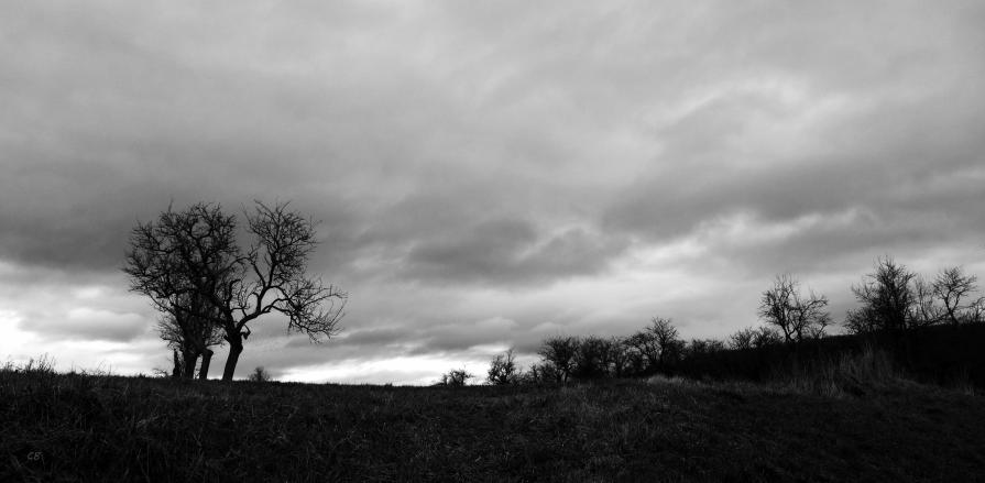 Séries noir et blanc ou séries couleurs ?