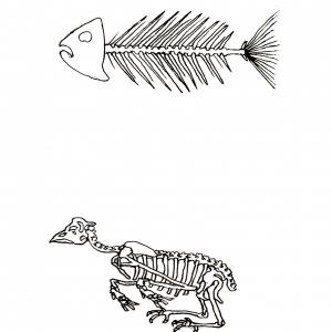 Studi naturalistici - 6 anni