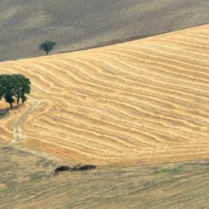 Italy. Basilicata. Potenza (2)