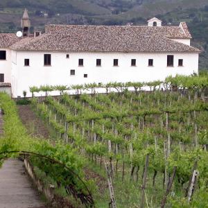 Italy. Basilicata. Potenza (1)