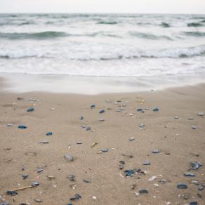 Fuori Servizio #2 il Mare