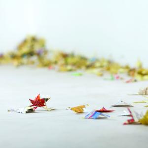 Foglie Gialle / yellow leaves - detail