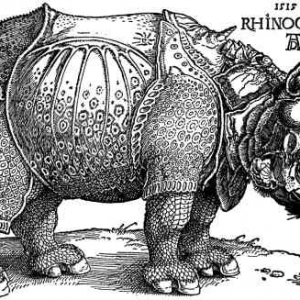 Albrecht Durer, Rhinoceros