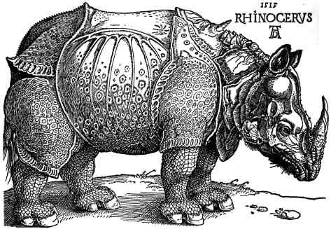 Albrecht Durer, Rhinoceros