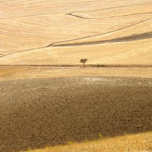 Italy. Basilicata. Potenza (1)