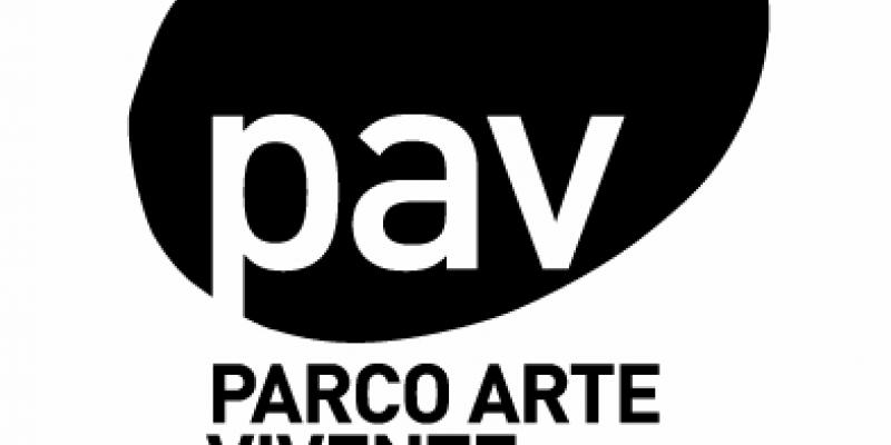 PREMIO PAV 2012