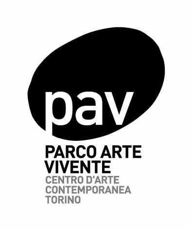 PREMIO PAV 2012