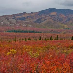 USA. Alaska 2/3. Boundaries and beyond