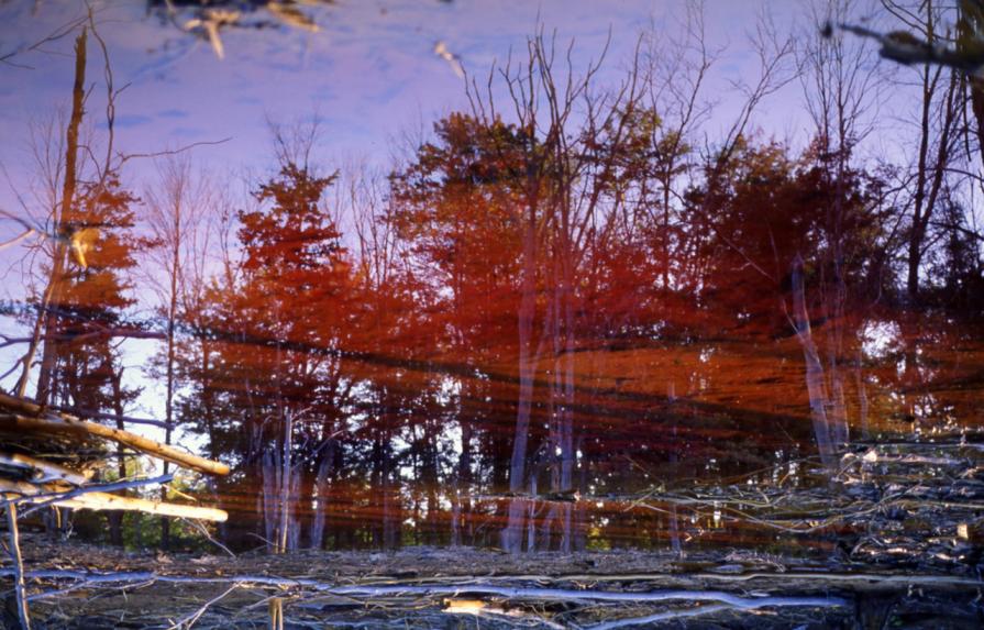 Acid MIne Drainage Sludge