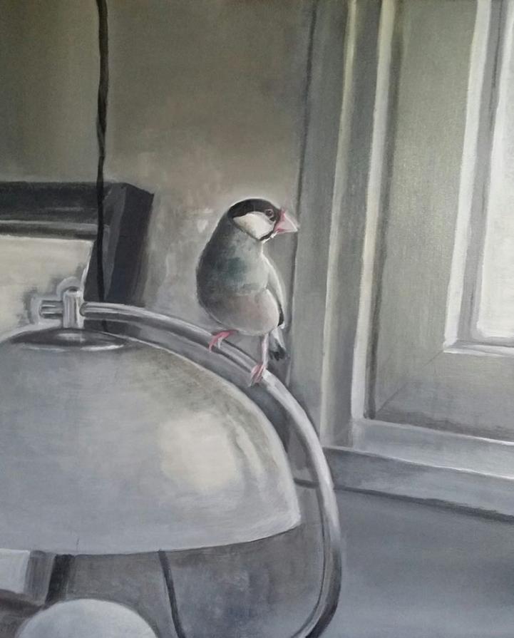 Interior with Java Sparrow