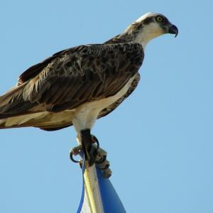 Egypt. Luxor and Marsa Alam